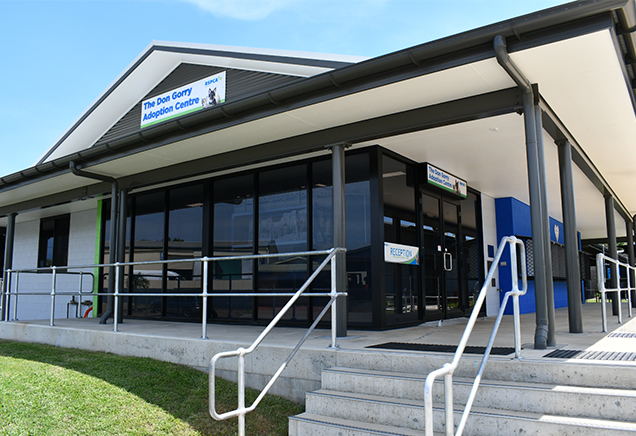 rspca cairns rebuild